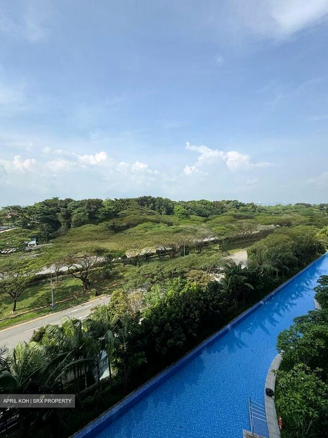 Seaside Residences (D15), Apartment #455782021